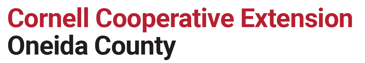regional partner logo